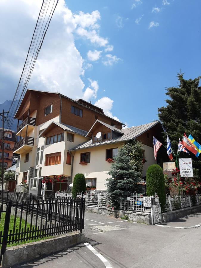 Pensiunea Capra Neagra Busteni Exterior photo